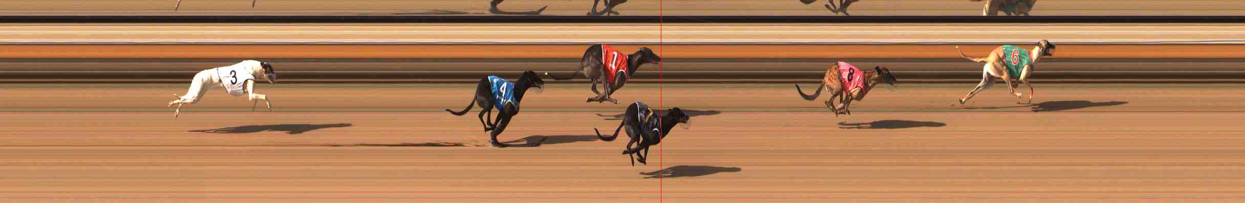 Photo finish for Warrnambool Race 10