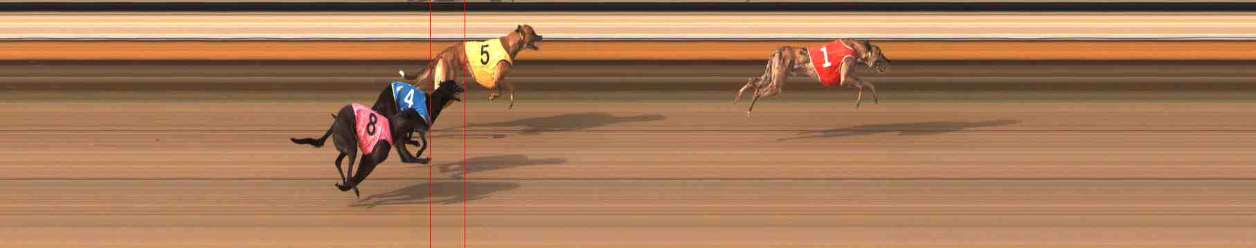 Photo finish for Warrnambool Race 11