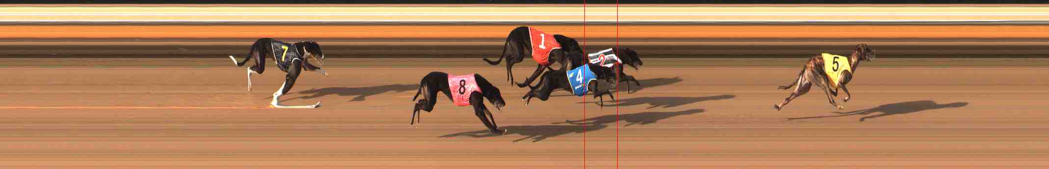 Photo finish for Warrnambool Race 12