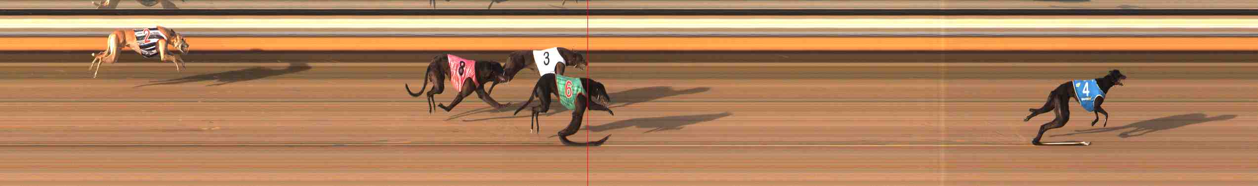 Photo finish for Warrnambool Race 13