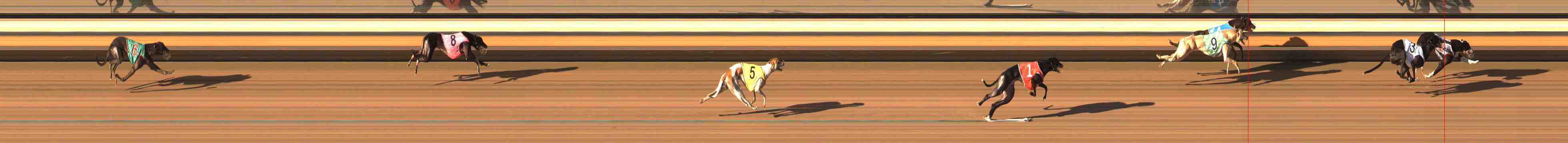 Race result finish photo