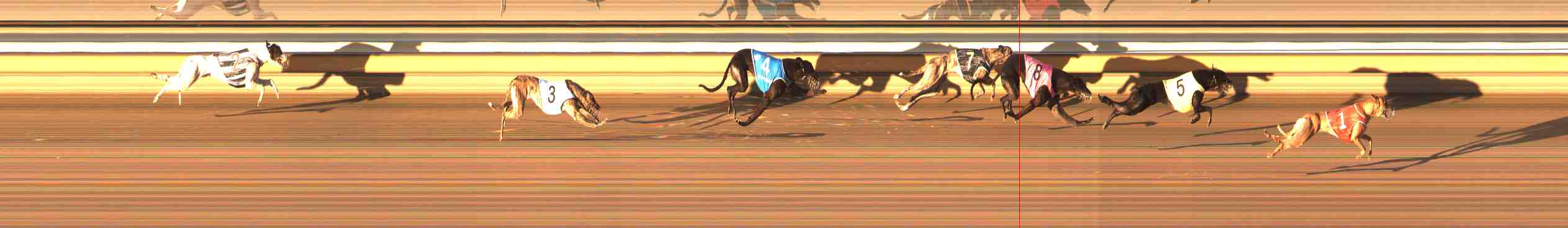 Race result finish photo