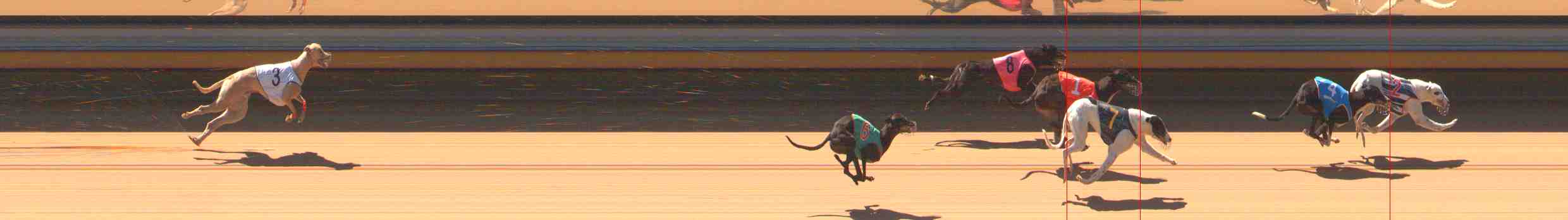 Race result finish photo