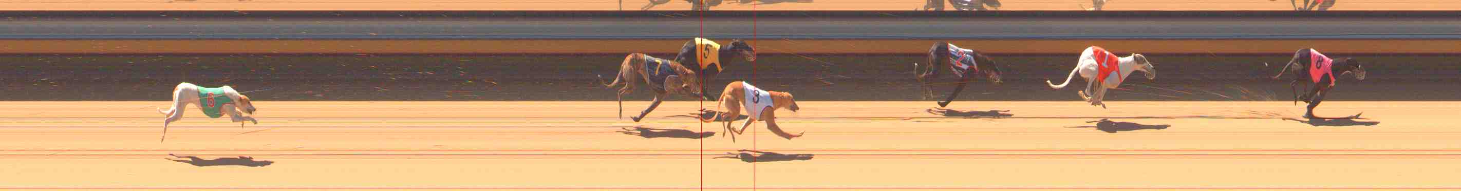 Photo finish for Warrnambool Race 2
