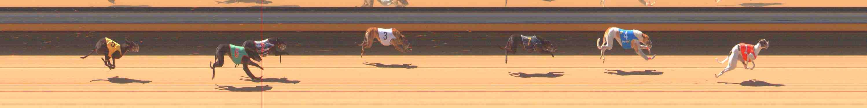 Photo finish for Warrnambool Race 3