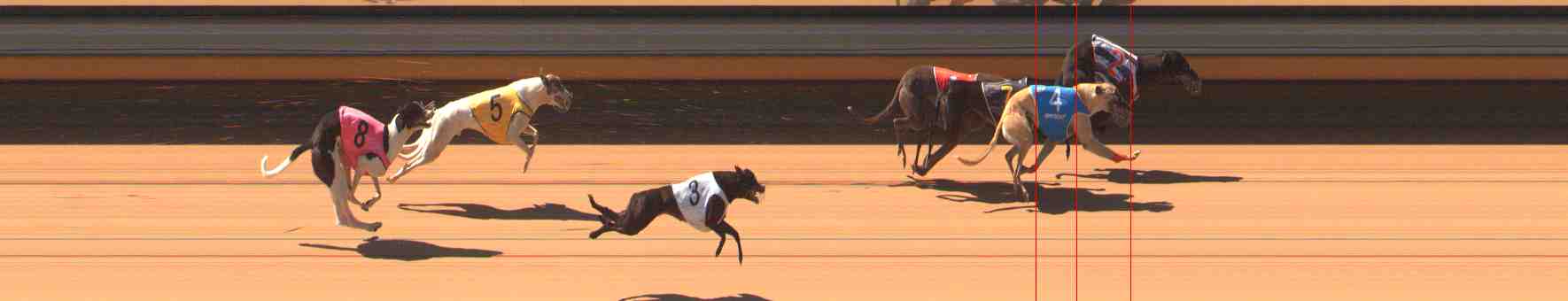 Photo finish for Warrnambool Race 4