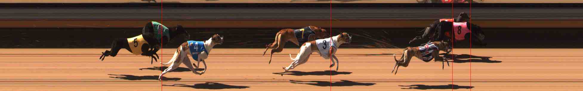 Photo finish for Warrnambool Race 5