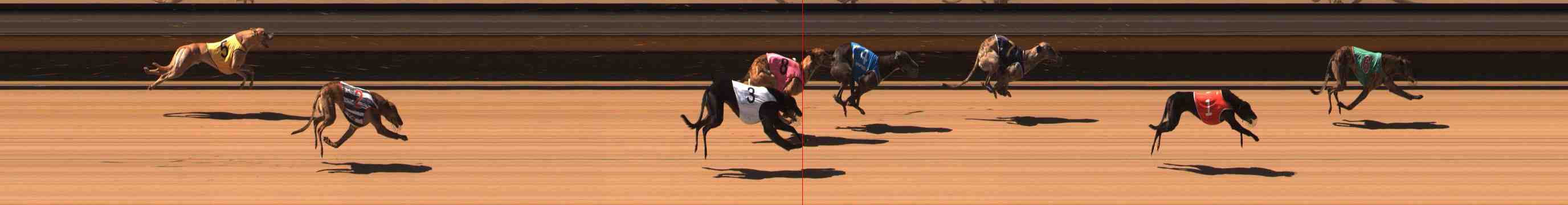 Photo finish for Warrnambool Race 6