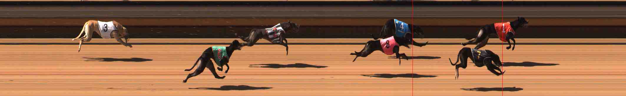 Photo finish for Warrnambool Race 7