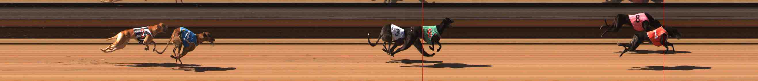 Photo finish for Warrnambool Race 8