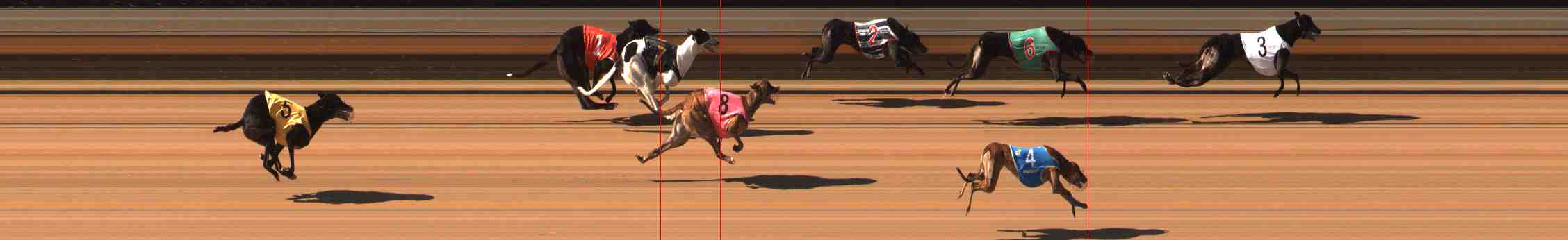 Photo finish for Warrnambool Race 10