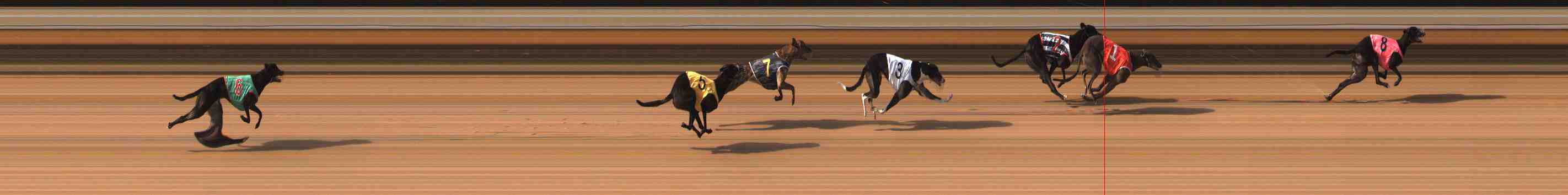Photo finish for Warrnambool Race 11