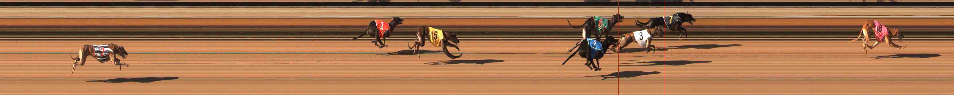 Photo finish for Warrnambool Race 12