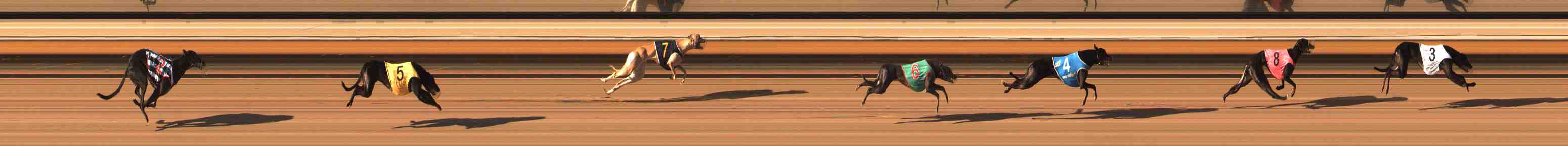 Photo finish for Warrnambool Race 13