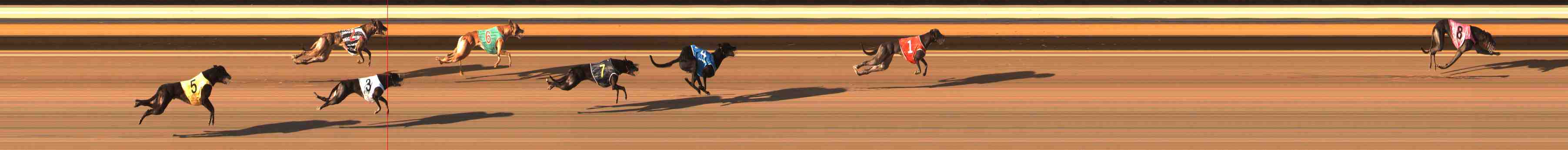 Photo finish for Warrnambool Race 4