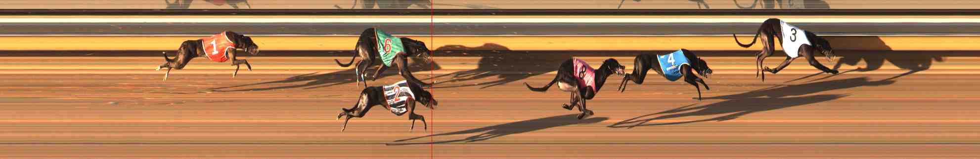 Photo finish for Warrnambool Race 5