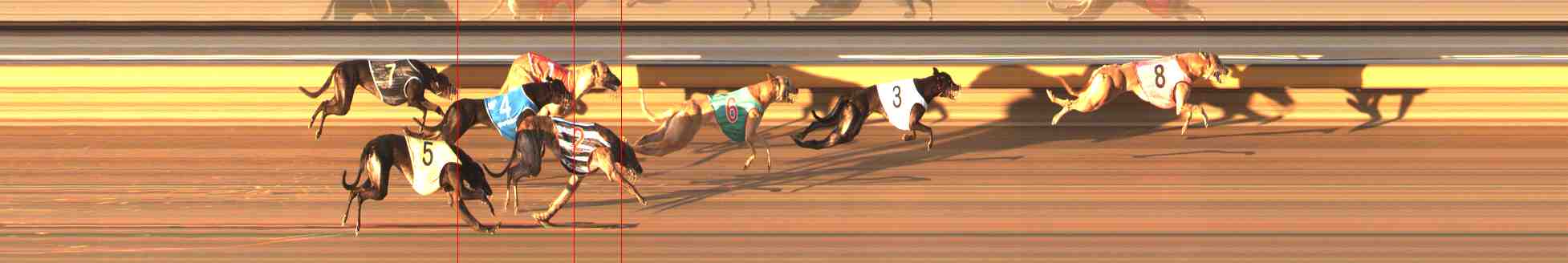 Photo finish for Warrnambool Race 7