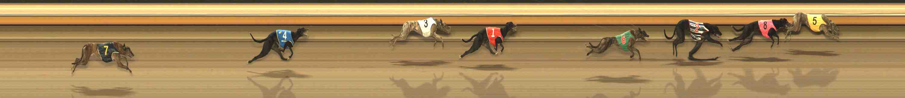 Photo finish for Warrnambool Race 9
