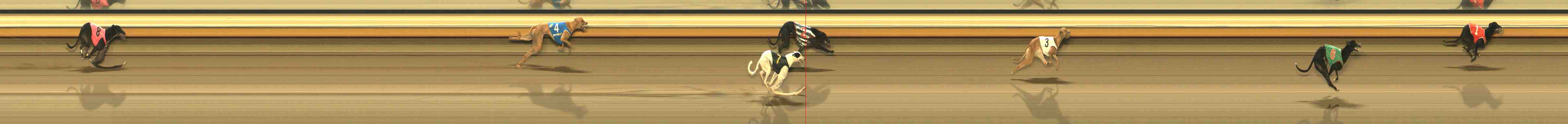 Photo finish for Warrnambool Race 10