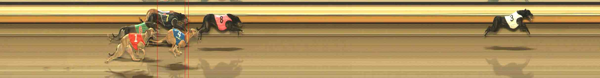 Photo finish for Warrnambool Race 11