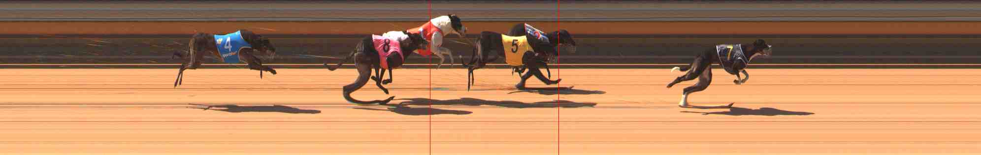 Photo finish for Warrnambool Race 2