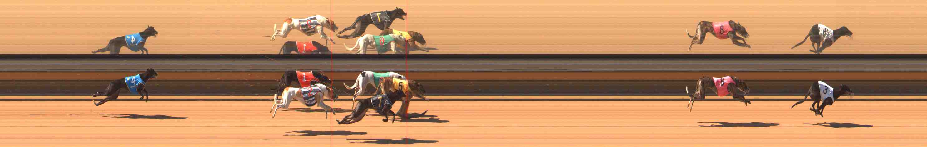 Photo finish for Warrnambool Race 3