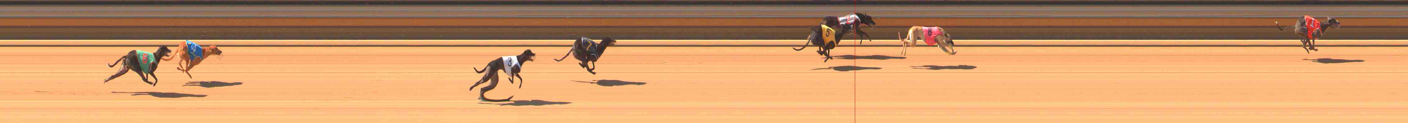 Photo finish for Warrnambool Race 4