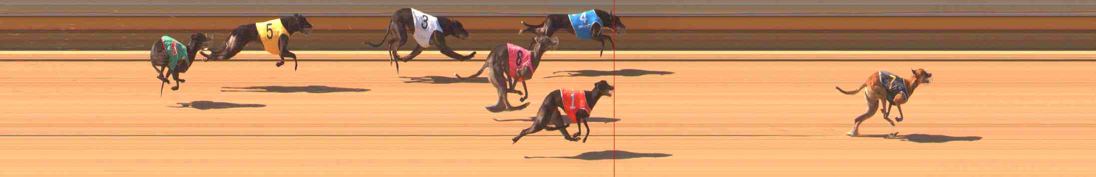 Photo finish for Warrnambool Race 5