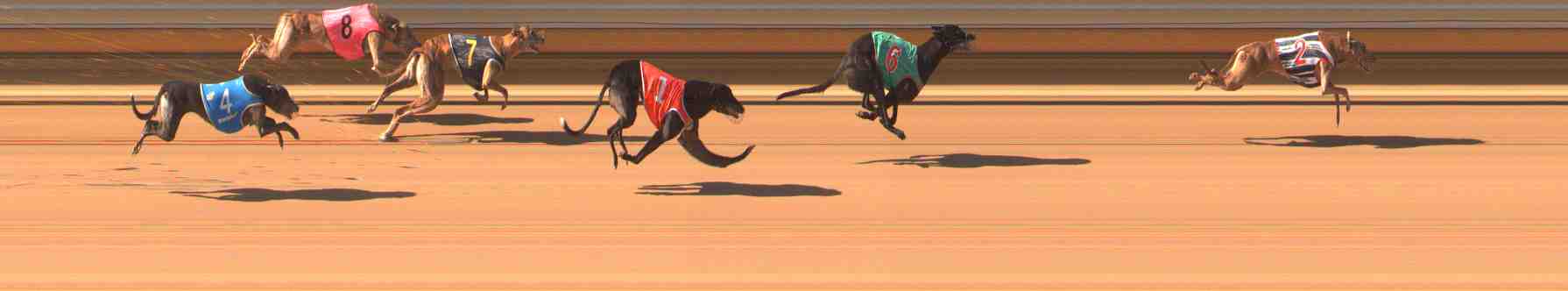 Photo finish for Warrnambool Race 6
