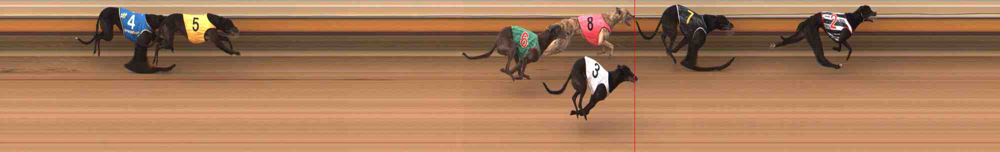 Photo finish for Warrnambool Race 9