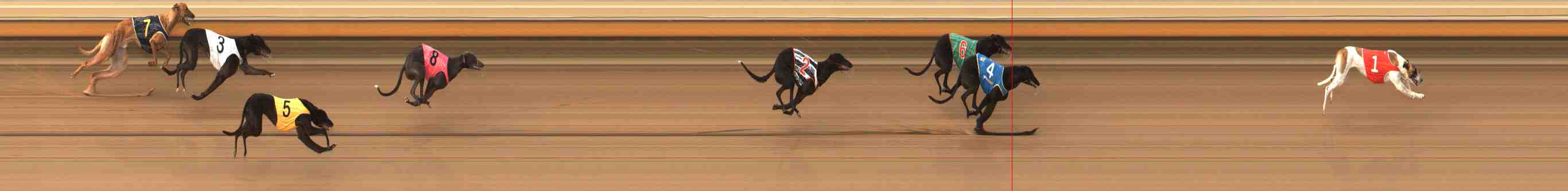 Photo finish for Warrnambool Race 10