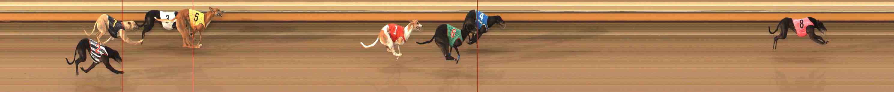 Photo finish for Warrnambool Race 11
