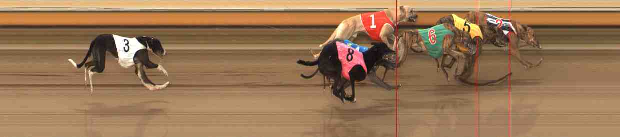 Photo finish for Warrnambool Race 12