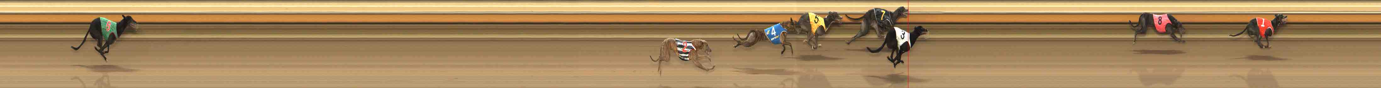 Photo finish for Warrnambool Race 13