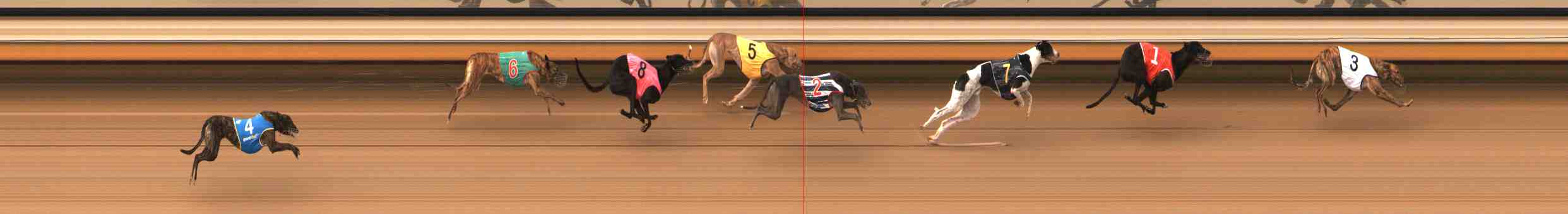 Photo finish for Warrnambool Race 2