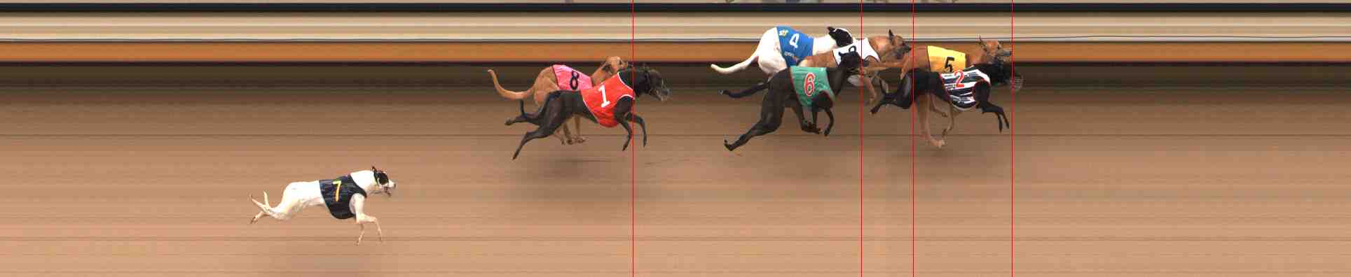 Photo finish for Warrnambool Race 4