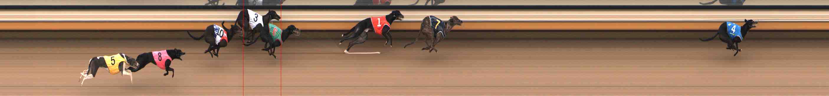 Photo finish for Warrnambool Race 5