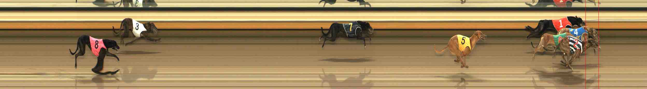 Photo finish for Warrnambool Race 6