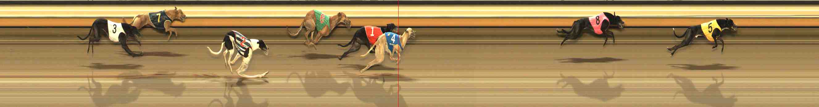 Photo finish for Warrnambool Race 7