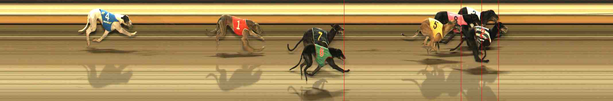 Photo finish for Warrnambool Race 8