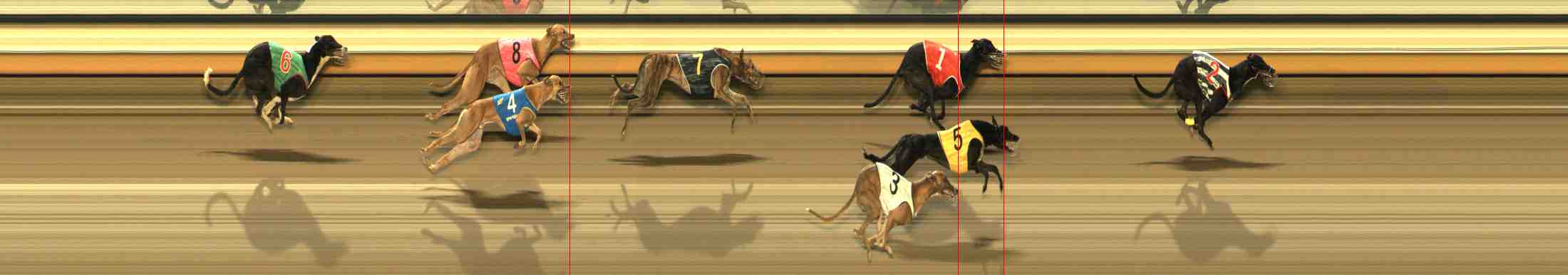 Photo finish for Warrnambool Race 9