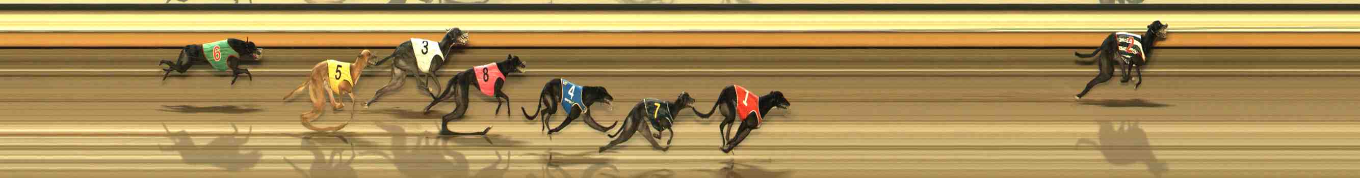 Photo finish for Warrnambool Race 10