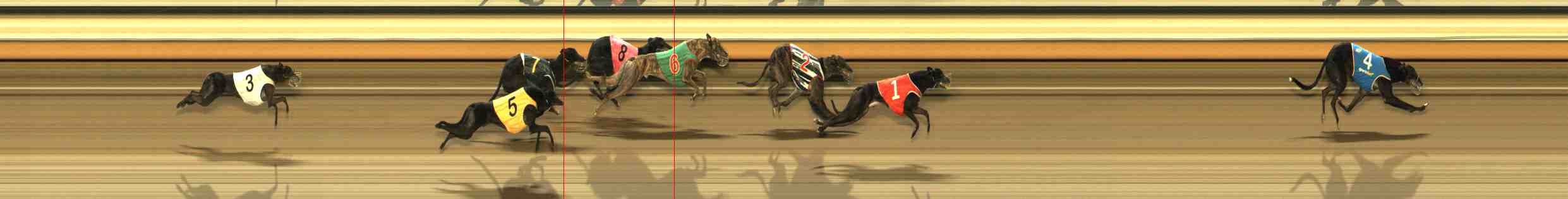Photo finish for Warrnambool Race 11