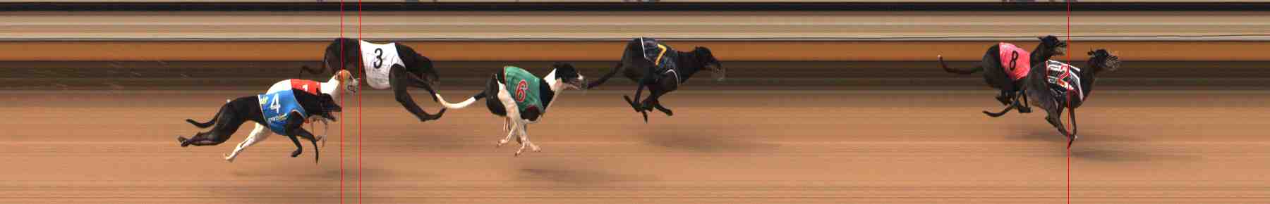 Photo finish for Warrnambool Race 2