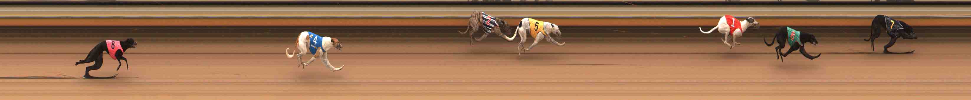 Photo finish for Warrnambool Race 3