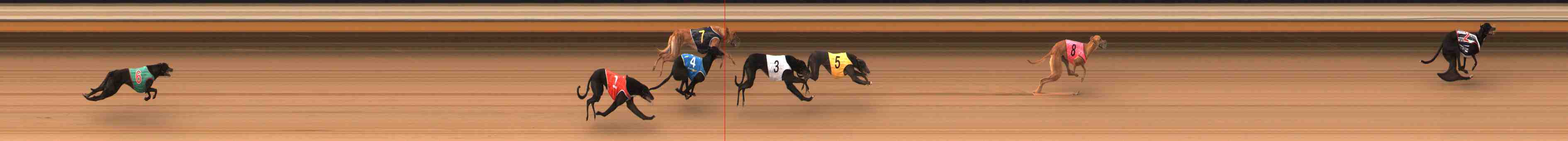 Photo finish for Warrnambool Race 4