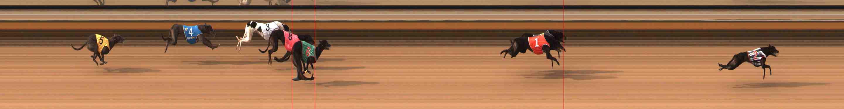 Photo finish for Warrnambool Race 5
