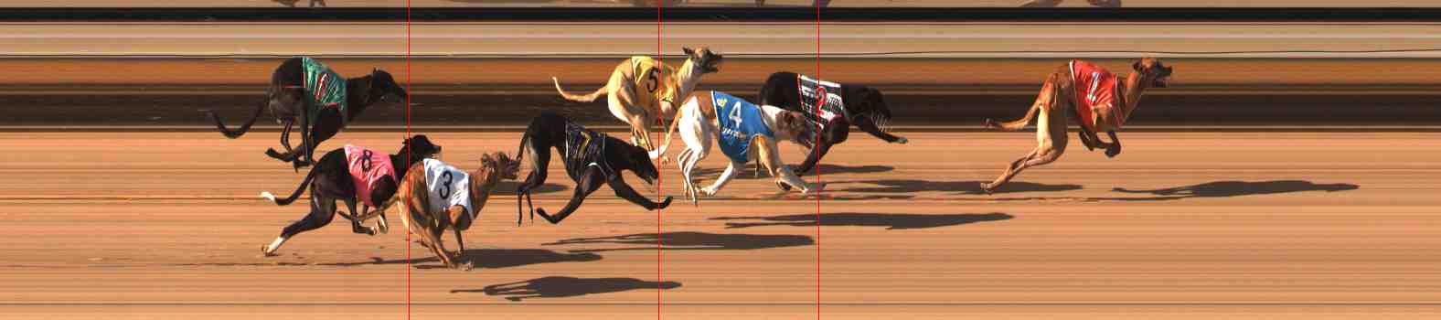Photo finish for Warrnambool Race 6