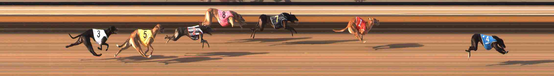 Photo finish for Warrnambool Race 7