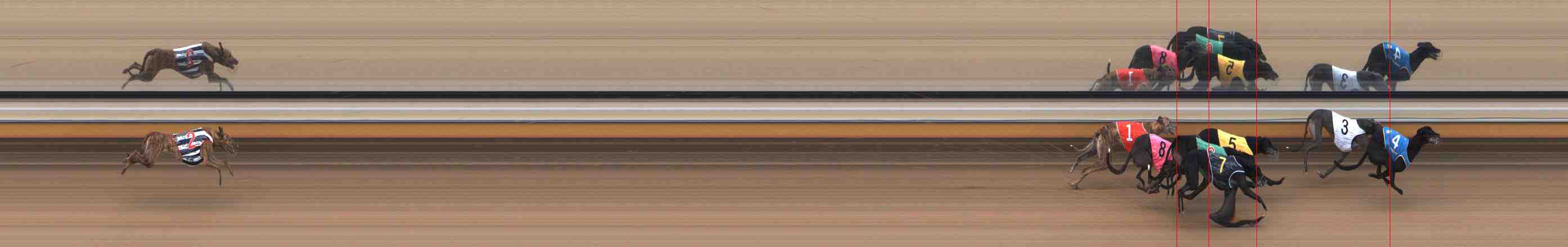 Photo finish for Warrnambool Race 8